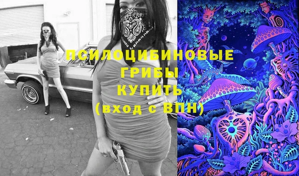 твердый Алзамай