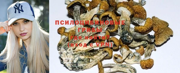 прущие крисы Алексеевка