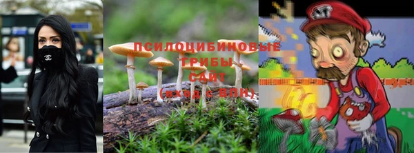 ПСИЛОЦИБИНОВЫЕ ГРИБЫ Алексин