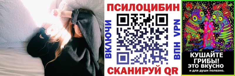 Галлюциногенные грибы мицелий  наркошоп  Богородицк 